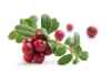 Cranberries